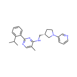 Cc1cnc(-c2ccccc2C(C)C)nc1NC[C@@H]1CCN(c2cccnc2)C1 ZINC000169341982