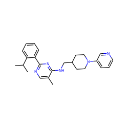 Cc1cnc(-c2ccccc2C(C)C)nc1NCC1CCN(c2cccnc2)CC1 ZINC000169341419