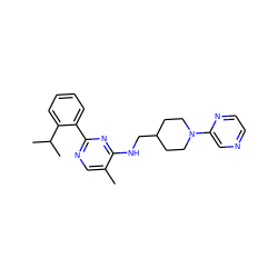 Cc1cnc(-c2ccccc2C(C)C)nc1NCC1CCN(c2cnccn2)CC1 ZINC000169304727