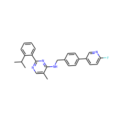 Cc1cnc(-c2ccccc2C(C)C)nc1NCc1ccc(-c2ccc(F)nc2)cc1 ZINC000169341700