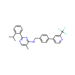 Cc1cnc(-c2ccccc2C(C)C)nc1NCc1ccc(-c2ccnc(C(F)(F)F)c2)cc1 ZINC000169304024