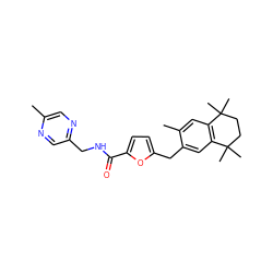 Cc1cnc(CNC(=O)c2ccc(Cc3cc4c(cc3C)C(C)(C)CCC4(C)C)o2)cn1 ZINC000000588242