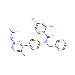 Cc1cnc(NC(C)C)nc1-c1ccc(N(Cc2ccccc2)C(=O)c2ccc(O)cc2O)cc1 ZINC000653668896