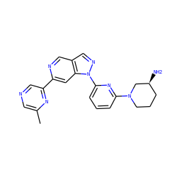 Cc1cncc(-c2cc3c(cn2)cnn3-c2cccc(N3CCC[C@H](N)C3)n2)n1 ZINC000211007545