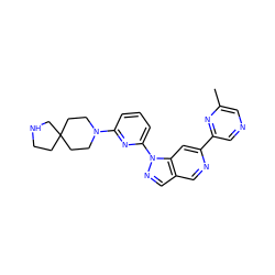 Cc1cncc(-c2cc3c(cn2)cnn3-c2cccc(N3CCC4(CCNC4)CC3)n2)n1 ZINC000224864887