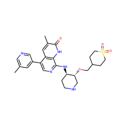 Cc1cncc(-c2cnc(N[C@@H]3CCNC[C@H]3OCC3CCS(=O)(=O)CC3)c3[nH]c(=O)c(C)cc23)c1 ZINC000473096543