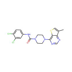 Cc1csc2c(N3CCN(C(=O)Nc4ccc(Cl)c(Cl)c4)CC3)ncnc12 ZINC000001027174