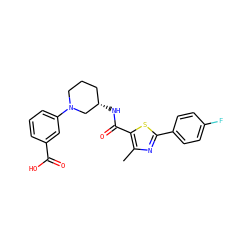 Cc1nc(-c2ccc(F)cc2)sc1C(=O)N[C@H]1CCCN(c2cccc(C(=O)O)c2)C1 ZINC000073222258