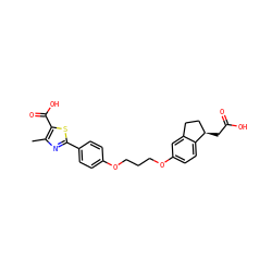 Cc1nc(-c2ccc(OCCCOc3ccc4c(c3)CC[C@H]4CC(=O)O)cc2)sc1C(=O)O ZINC000003961822