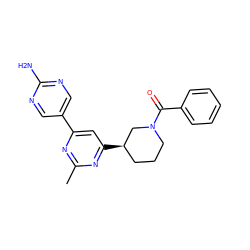 Cc1nc(-c2cnc(N)nc2)cc([C@@H]2CCCN(C(=O)c3ccccc3)C2)n1 ZINC000221281941