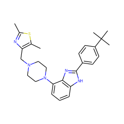 Cc1nc(CN2CCN(c3cccc4[nH]c(-c5ccc(C(C)(C)C)cc5)nc34)CC2)c(C)s1 ZINC000040953636