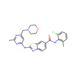 Cc1nc(CN2CCOCC2)cc(Nc2nc3ccc(C(=O)Nc4c(C)cccc4Cl)cc3s2)n1 ZINC000013536659