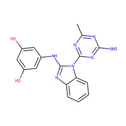 Cc1nc(N)nc(-n2c(Nc3cc(O)cc(O)c3)nc3ccccc32)n1 ZINC000071329671