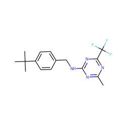 Cc1nc(NCc2ccc(C(C)(C)C)cc2)nc(C(F)(F)F)n1 ZINC000103285047