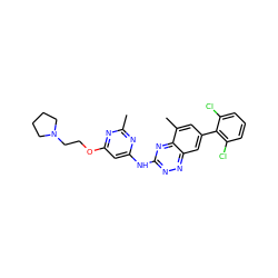 Cc1nc(Nc2nnc3cc(-c4c(Cl)cccc4Cl)cc(C)c3n2)cc(OCCN2CCCC2)n1 ZINC000096167811