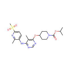 Cc1nc(S(C)(=O)=O)ccc1Nc1ncnc(OC2CCN(C(=O)OC(C)C)CC2)c1C ZINC000073281029