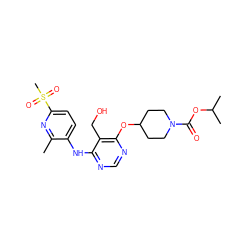 Cc1nc(S(C)(=O)=O)ccc1Nc1ncnc(OC2CCN(C(=O)OC(C)C)CC2)c1CO ZINC000082148850