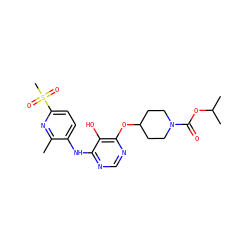 Cc1nc(S(C)(=O)=O)ccc1Nc1ncnc(OC2CCN(C(=O)OC(C)C)CC2)c1O ZINC000038255422