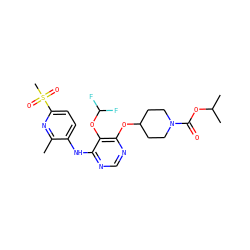 Cc1nc(S(C)(=O)=O)ccc1Nc1ncnc(OC2CCN(C(=O)OC(C)C)CC2)c1OC(F)F ZINC000073280628