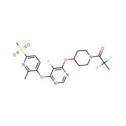 Cc1nc(S(C)(=O)=O)ccc1Oc1ncnc(OC2CCN(C(=O)C(C)(F)F)CC2)c1F ZINC000299827517