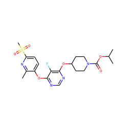 Cc1nc(S(C)(=O)=O)ccc1Oc1ncnc(OC2CCN(C(=O)OC(C)C)CC2)c1F ZINC000299828813