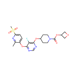 Cc1nc(S(C)(=O)=O)ccc1Oc1ncnc(OC2CCN(C(=O)OC3COC3)CC2)c1F ZINC000299828777