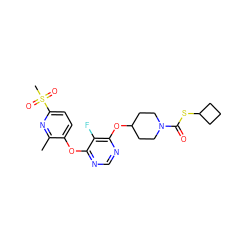 Cc1nc(S(C)(=O)=O)ccc1Oc1ncnc(OC2CCN(C(=O)SC3CCC3)CC2)c1F ZINC000299828788