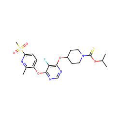 Cc1nc(S(C)(=O)=O)ccc1Oc1ncnc(OC2CCN(C(=S)OC(C)C)CC2)c1F ZINC000299831861