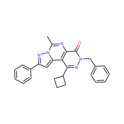 Cc1nc2c(=O)n(Cc3ccccc3)nc(C3CCC3)c2c2cc(-c3ccccc3)nn12 ZINC000299826111