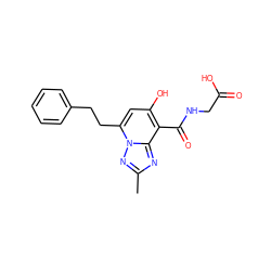 Cc1nc2c(C(=O)NCC(=O)O)c(O)cc(CCc3ccccc3)n2n1 ZINC000116307223