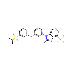 Cc1nc2c(C(F)(F)F)cccc2n1-c1cccc(Oc2cccc(S(=O)(=O)C(C)C)c2)c1 ZINC000045350388