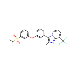 Cc1nc2c(C(F)(F)F)cccn2c1-c1cccc(Oc2cccc(S(=O)(=O)C(C)C)c2)c1 ZINC000045364755