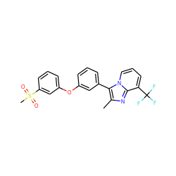 Cc1nc2c(C(F)(F)F)cccn2c1-c1cccc(Oc2cccc(S(C)(=O)=O)c2)c1 ZINC000045389924