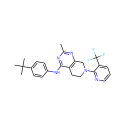 Cc1nc2c(c(Nc3ccc(C(C)(C)C)cc3)n1)CCN(c1ncccc1C(F)(F)F)C2 ZINC000035801424