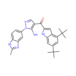 Cc1nc2cc(-n3ncc(C(=O)c4cc5c(C(C)(C)C)cc(C(C)(C)C)cc5[nH]4)c3N)ccc2[nH]1 ZINC000149882944