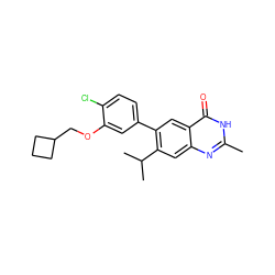 Cc1nc2cc(C(C)C)c(-c3ccc(Cl)c(OCC4CCC4)c3)cc2c(=O)[nH]1 ZINC000013679456