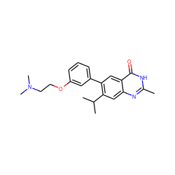 Cc1nc2cc(C(C)C)c(-c3cccc(OCCN(C)C)c3)cc2c(=O)[nH]1 ZINC000028567624