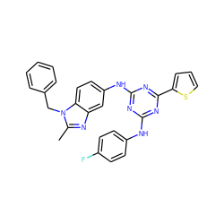 Cc1nc2cc(Nc3nc(Nc4ccc(F)cc4)nc(-c4cccs4)n3)ccc2n1Cc1ccccc1 ZINC000653803678