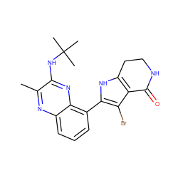 Cc1nc2cccc(-c3[nH]c4c(c3Br)C(=O)NCC4)c2nc1NC(C)(C)C ZINC000206088227