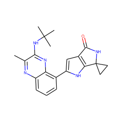 Cc1nc2cccc(-c3cc4c([nH]3)C3(CC3)NC4=O)c2nc1NC(C)(C)C ZINC000206074239