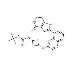 Cc1nc2cccc(-c3cc4c([nH]3)CCNC4=O)c2nc1N[C@H]1C[C@@H](NC(=O)OC(C)(C)C)C1 ZINC001772645665