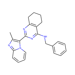 Cc1nc2ccccn2c1-c1nc2c(c(NCc3ccccc3)n1)CCCC2 ZINC000219009268