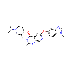 Cc1nc2cnc(Oc3ccc4c(c3)ncn4C)cc2c(=O)n1C[C@H]1CCCN(C(C)C)C1 ZINC000073313947