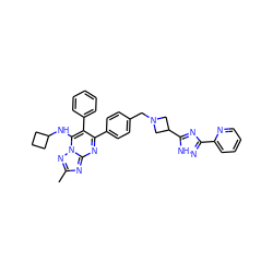 Cc1nc2nc(-c3ccc(CN4CC(c5nc(-c6ccccn6)n[nH]5)C4)cc3)c(-c3ccccc3)c(NC3CCC3)n2n1 ZINC000205492259