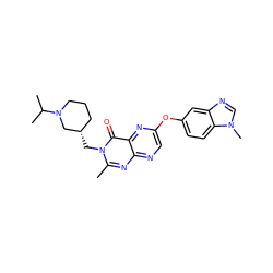 Cc1nc2ncc(Oc3ccc4c(c3)ncn4C)nc2c(=O)n1C[C@H]1CCCN(C(C)C)C1 ZINC000073315626