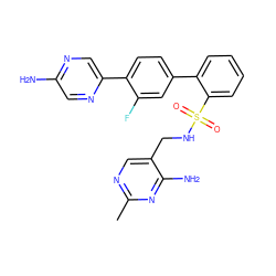 Cc1ncc(CNS(=O)(=O)c2ccccc2-c2ccc(-c3cnc(N)cn3)c(F)c2)c(N)n1 ZINC000224791537