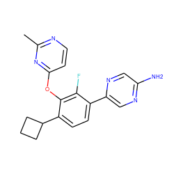 Cc1nccc(Oc2c(C3CCC3)ccc(-c3cnc(N)cn3)c2F)n1 ZINC000224588178