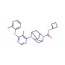 Cc1ncccc1Oc1ncnc(N2C3CC4CC2CC(C3)N4C(=O)OC2(C)CCC2)c1C ZINC000095597231