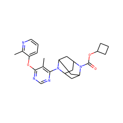 Cc1ncccc1Oc1ncnc(N2C3CC4CC2CC(C3)N4C(=O)OC2CCC2)c1C ZINC000095595247