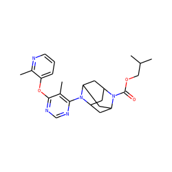 Cc1ncccc1Oc1ncnc(N2C3CC4CC2CC(C3)N4C(=O)OCC(C)C)c1C ZINC000095594736